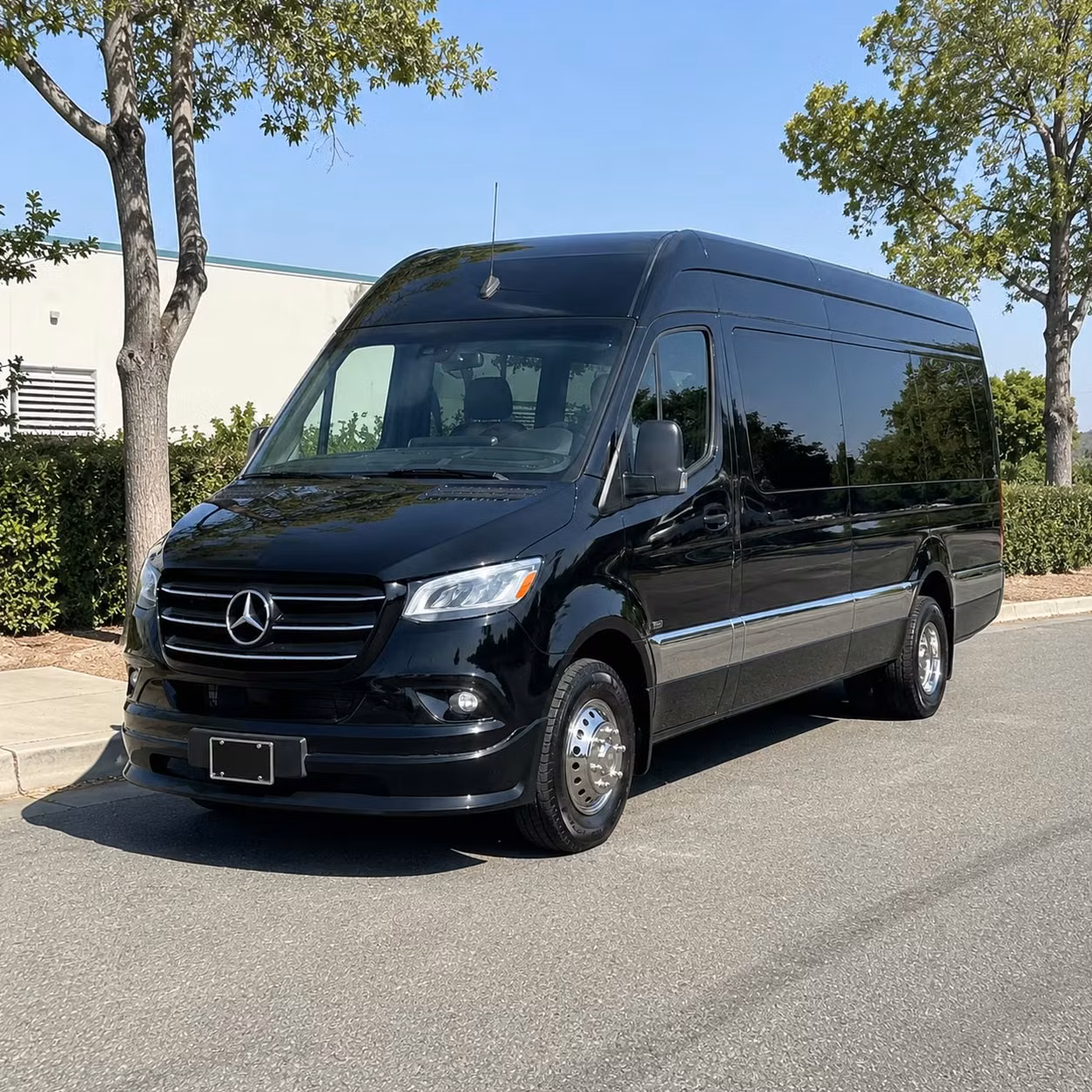 sprinter van with driver